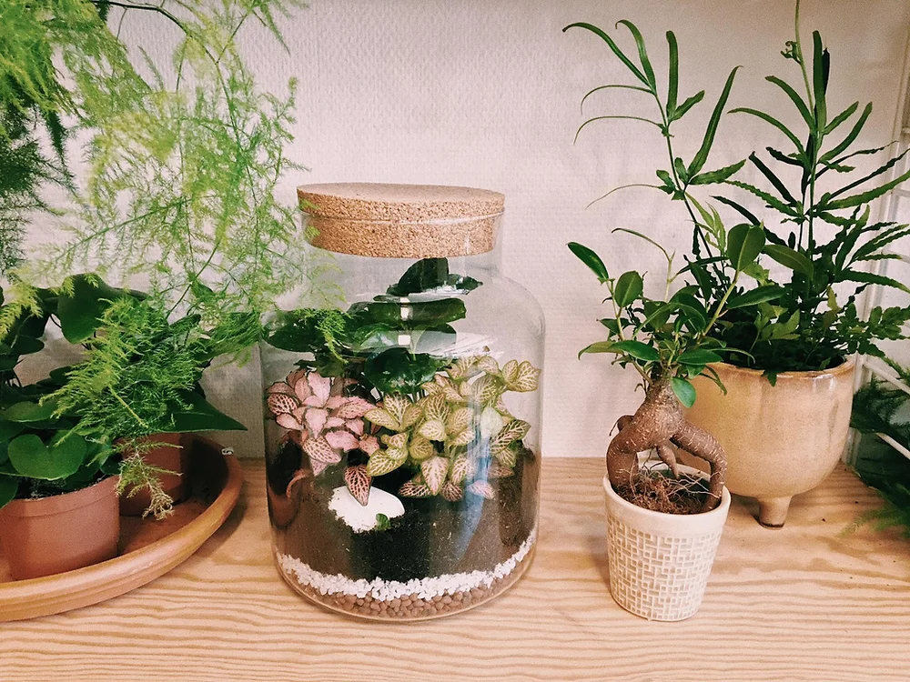 Atelier terrarium