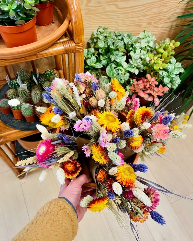 FLEURS SÉCHÉES 🌸

Suite à de multiples demandes, les bouquets de fleurs séchées font leur comeback chez JAMU 🌱

On a confectionné plein de minis et moyens bouquets ♥️

Ps: la semaine prochaine, c’est un gros refill de terrariums qui rejoindra nos plantes sur nos étagères 🪴